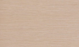SBA2R365/00/Y17