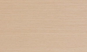 EBX2R534/X3