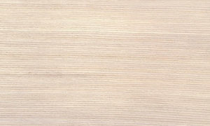 SBT2F158/Y17