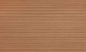 2M45/V